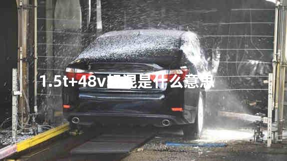 1.5t+48v轻混是什么意思