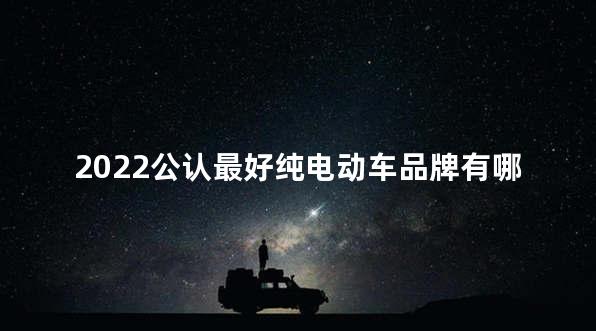 2022公认最好纯电动车品牌有哪些