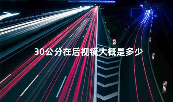 30公分在后视镜大概是多少