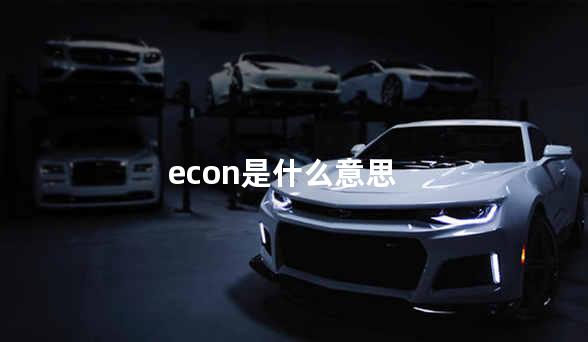 econ是什么意思 eco是什么意思车上