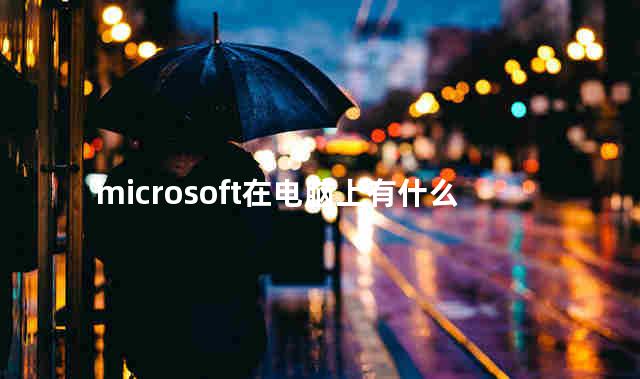 microsoft在电脑上有什么用