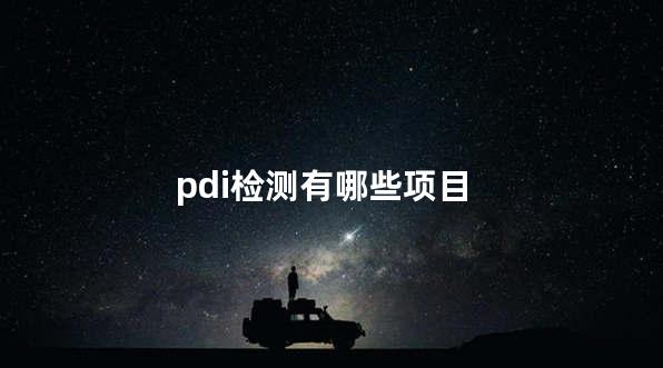 pdi检测有哪些项目