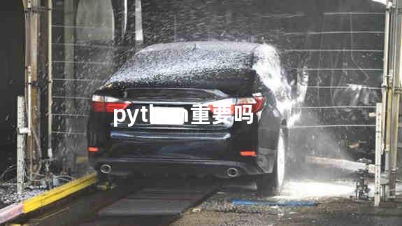 python重要吗