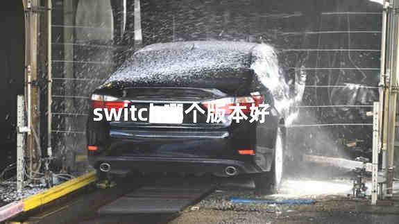 switch哪个版本好