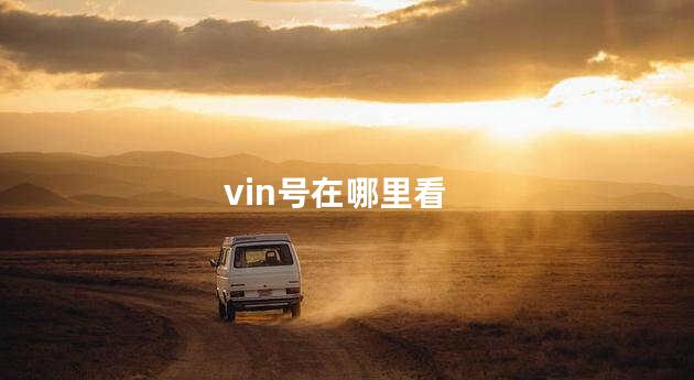 vin号在哪里看