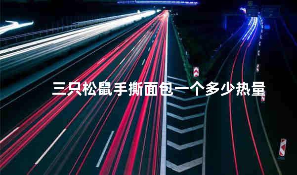 三只松鼠手撕面包一个多少热量