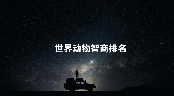 世界动物智商排名