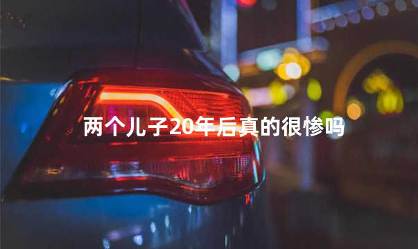 两个儿子20年后真的很惨吗