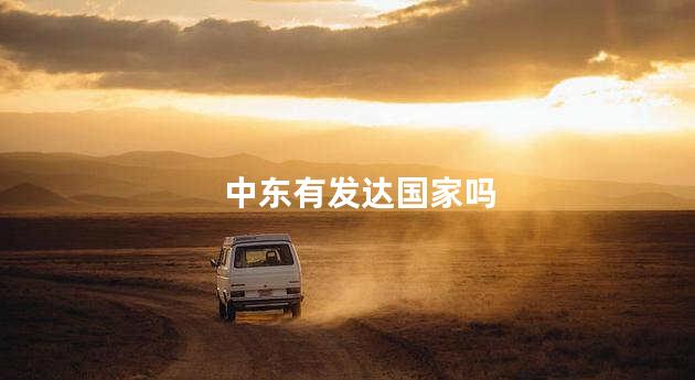 中东有发达国家吗