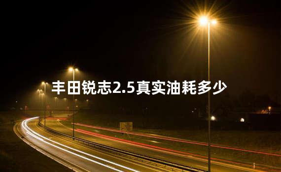 丰田锐志2.5真实油耗多少