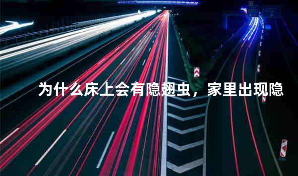 为什么床上会有隐翅虫，家里出现隐翅虫怎么消灭