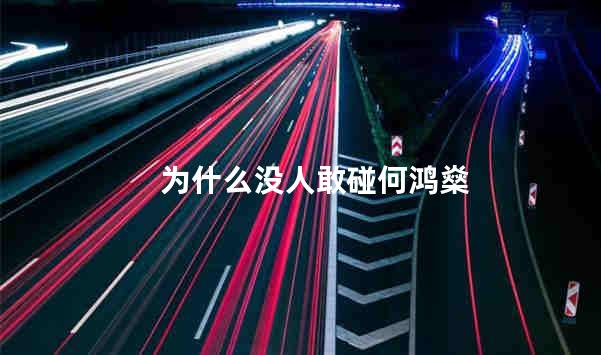 为什么没人敢碰何鸿燊