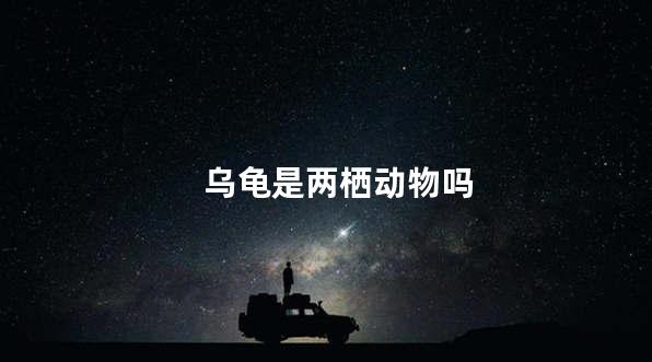 乌龟是两栖动物吗