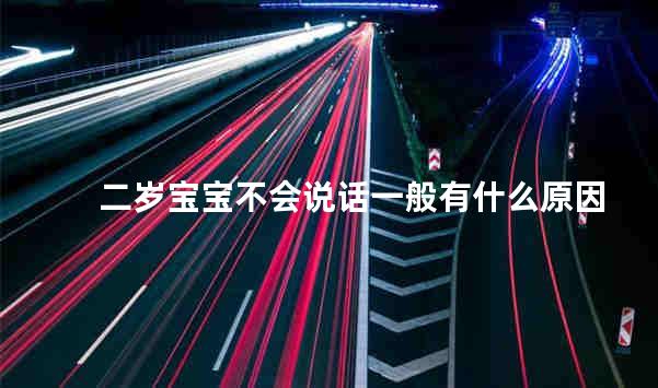 二岁宝宝不会说话一般有什么原因