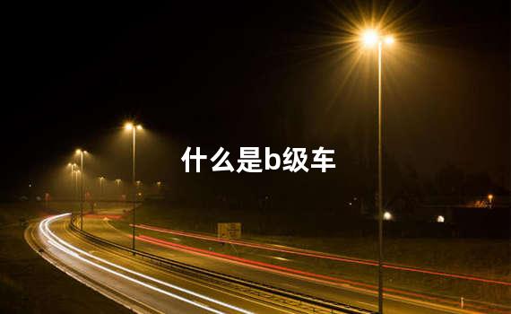 什么是b级车