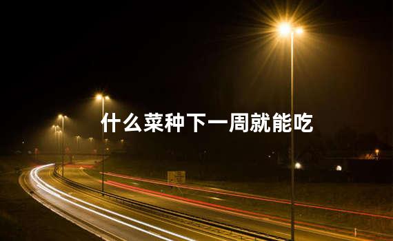 什么菜种下一周就能吃