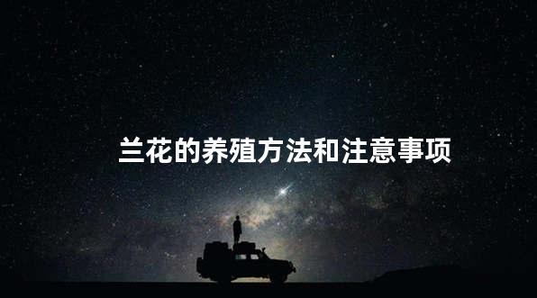 兰花的养殖方法和注意事项