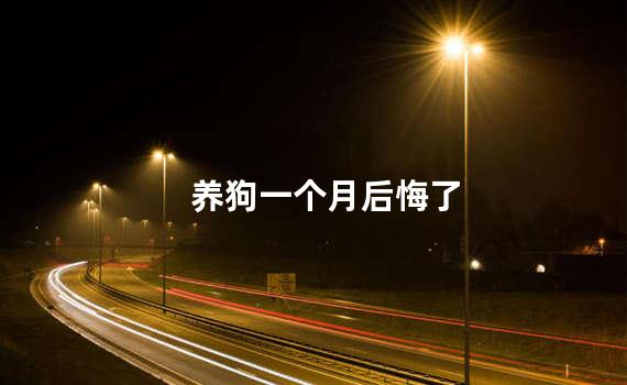 养狗一个月后悔了