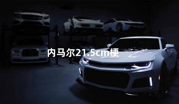 内马尔21.5cm梗