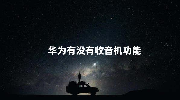 华为有没有收音机功能