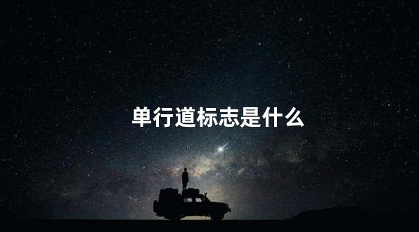 单行道标志是什么