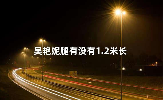 吴艳妮腿有没有1.2米长