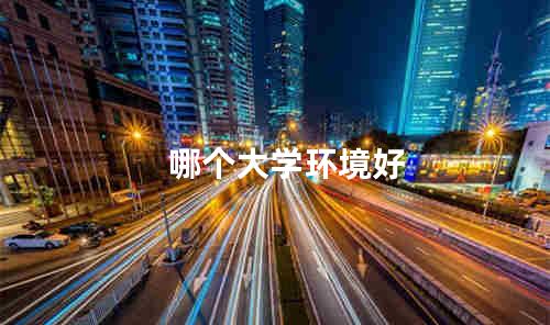 哪个大学环境好
