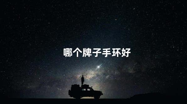 哪个牌子手环好