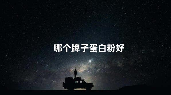 哪个牌子蛋白粉好