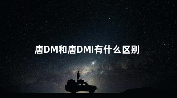 唐DM和唐DMI有什么区别