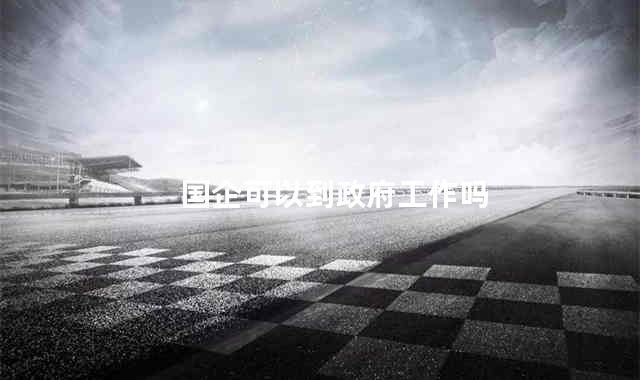 国企可以到政府工作吗