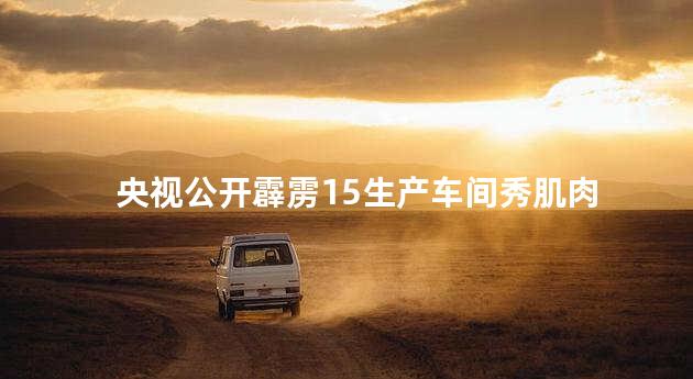 央视公开霹雳15生产车间秀肌肉