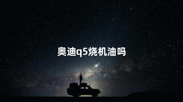 奥迪q5烧机油吗