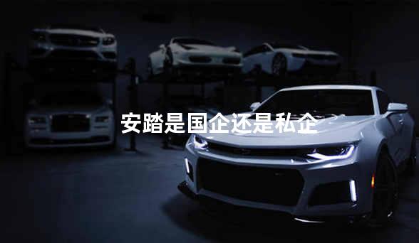 安踏是国企还是私企