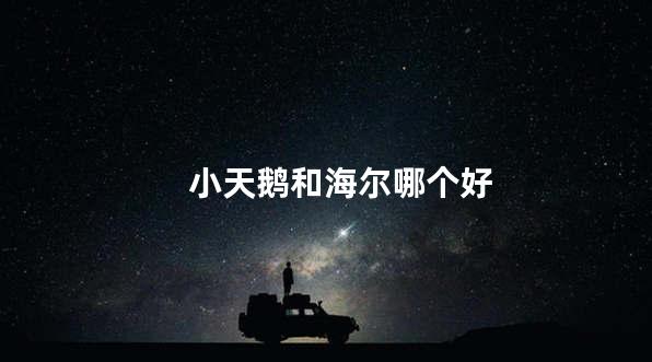 小天鹅和海尔哪个好