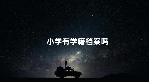 小学有学籍档案吗