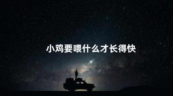 小鸡要喂什么才长得快