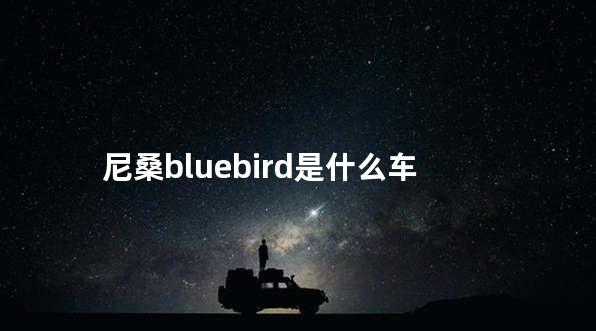 尼桑bluebird是什么车