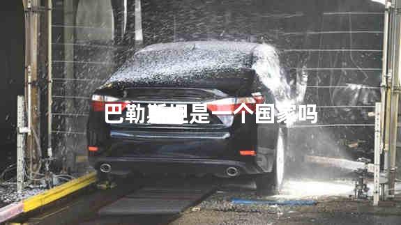 巴勒斯坦是一个国家吗