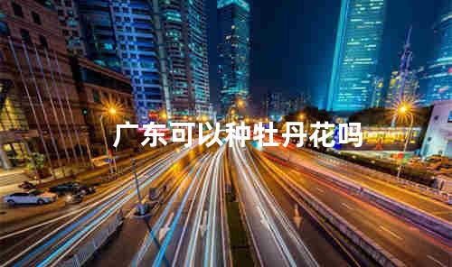 广东可以种牡丹花吗