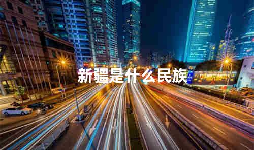 新疆是什么民族