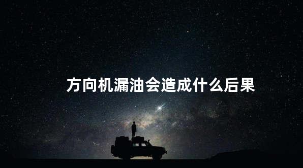 方向机漏油会造成什么后果