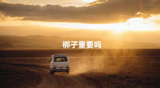 梆子重要吗
