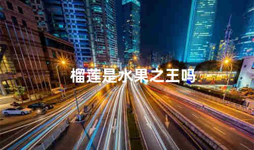 榴莲是水果之王吗