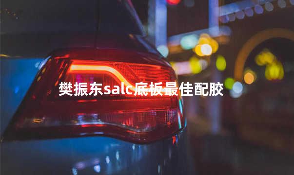 樊振东salc底板最佳配胶