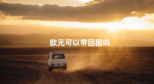 欧元可以带回国吗