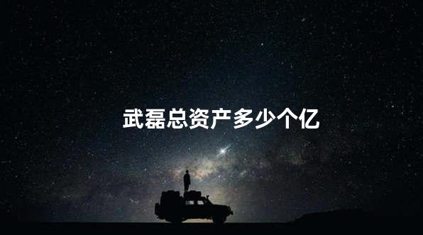 武磊总资产多少个亿