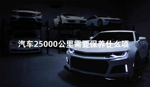 汽车25000公里需要保养什么项目