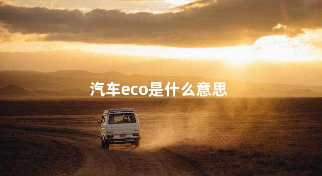 汽车eco是什么意思