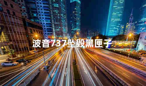 波音737坠毁黑匣子